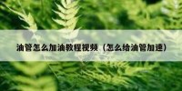 油管怎么加油教程视频（怎么给油管加速）