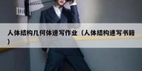人体结构几何体速写作业（人体结构速写书籍）