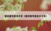 重庆限号查询今天（重庆限号是多少今天）