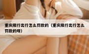 重庆限行出行怎么罚款的（重庆限行出行怎么罚款的呀）