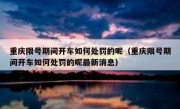 重庆限号期间开车如何处罚的呢（重庆限号期间开车如何处罚的呢最新消息）