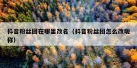 抖音粉丝团在哪里改名（抖音粉丝团怎么改昵称）