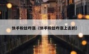 快手粉丝咋涨（快手粉丝咋涨上去的）