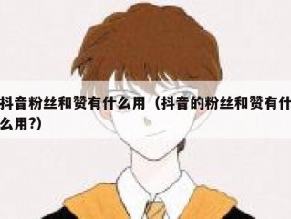 抖音粉丝和赞有什么用（抖音的粉丝和赞有什么用?）