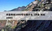抖音粉丝1000可以做什么（抖音 粉丝 1000）