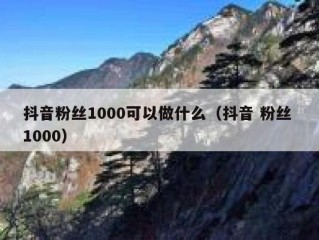 抖音粉丝1000可以做什么（抖音 粉丝 1000）