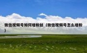 微信视频号如何增粉丝（微信视频号怎么增粉）