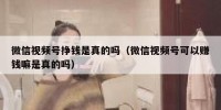 微信视频号挣钱是真的吗（微信视频号可以赚钱嘛是真的吗）