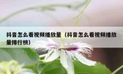 抖音怎么看视频播放量（抖音怎么看视频播放量排行榜）