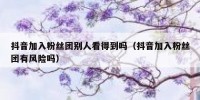抖音加入粉丝团别人看得到吗（抖音加入粉丝团有风险吗）