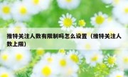 推特关注人数有限制吗怎么设置（推特关注人数上限）