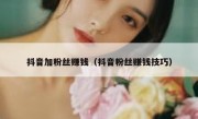 抖音加粉丝赚钱（抖音粉丝赚钱技巧）