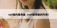 nat国内服务器（nat服务器的作用）
