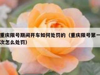 重庆限号期间开车如何处罚的（重庆限号第一次怎么处罚）