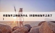 抖音加不上粉丝为什么（抖音粉丝加不上去了）