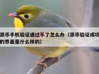 派币手机验证通过不了怎么办（派币验证成功的界面是什么样的）