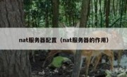 nat服务器配置（nat服务器的作用）
