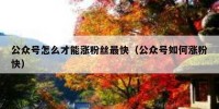 公众号怎么才能涨粉丝最快（公众号如何涨粉快）