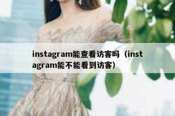 instagram能查看访客吗（instagram能不能看到访客） 第1张