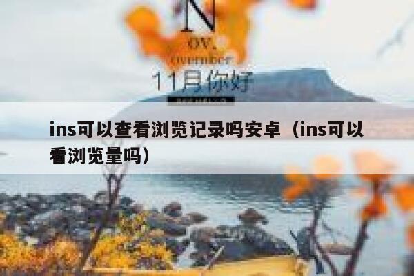 ins可以查看浏览记录吗安卓（ins可以看浏览量吗） 第1张
