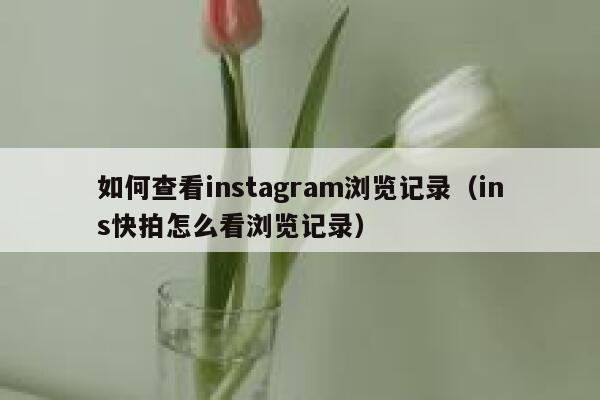 如何查看instagram浏览记录（ins快拍怎么看浏览记录） 第1张