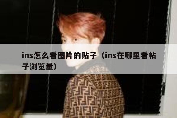 ins怎么看图片的贴子（ins在哪里看帖子浏览量） 第1张
