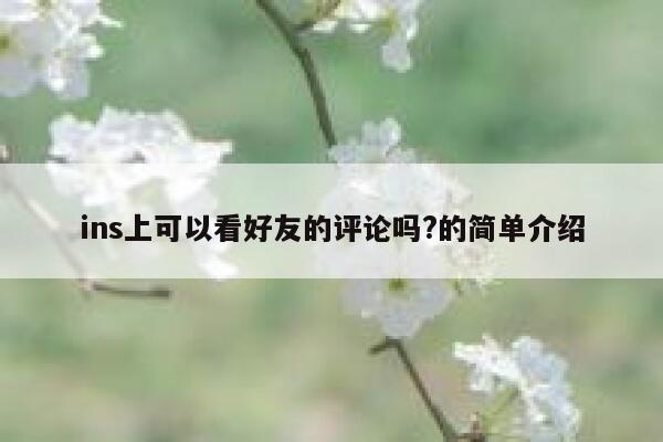 ins上可以看好友的评论吗?的简单介绍 第1张 ins上可以看好友的评论吗?的简单介绍 第1张