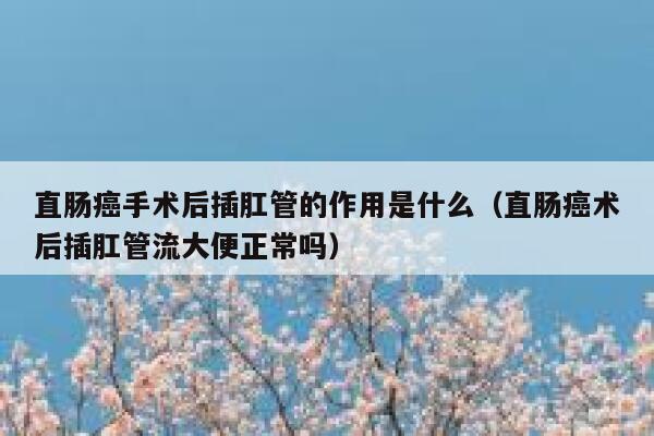 直肠癌手术后插肛管的作用是什么(直肠癌术后插肛管流大便正常吗) 第1张 直肠癌手术后插肛管的作用是什么(直肠癌术后插肛管流大便正常吗) 第1张