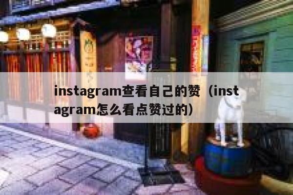 instagram查看自己的赞（instagram怎么看点赞过的） 第1张