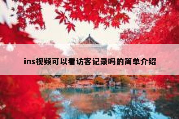 ins视频可以看访客记录吗的简单介绍 第1张
