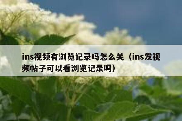 ins视频有浏览记录吗怎么关（ins发视频帖子可以看浏览记录吗） 第1张