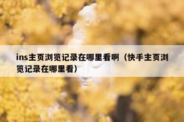 ins主页浏览记录在哪里看啊（快手主页浏览记录在哪里看） 第1张