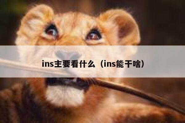 ins主要看什么（ins能干啥） 第1张