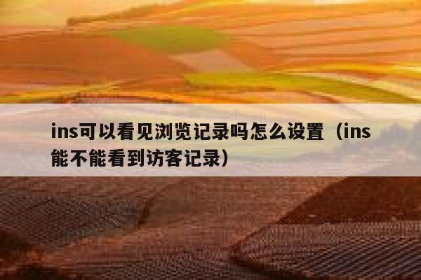 ins可以看见浏览记录吗怎么设置（ins能不能看到访客记录） 第1张