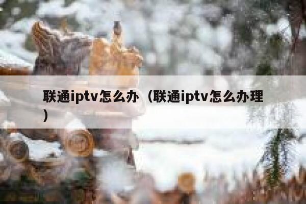 联通iptv怎么办(联通iptv怎么办理) 第1张 联通iptv怎么办(联通iptv怎么办理) 第1张