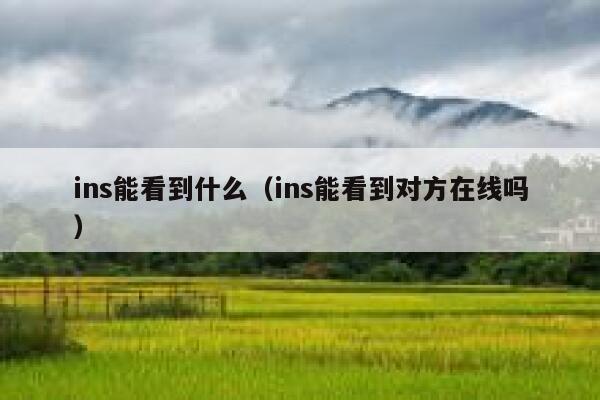 ins能看到什么(ins能看到对方在线吗) 第1张 ins能看到什么(ins能看到对方在线吗) 第1张