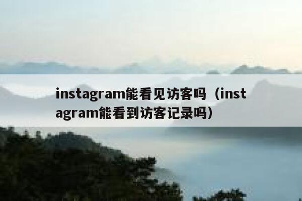 instagram能看见访客吗（instagram能看到访客记录吗） 第1张