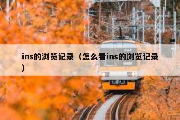 ins的浏览记录(怎么看ins的浏览记录) 第1张 ins的浏览记录(怎么看ins的浏览记录) 第1张