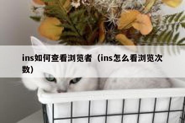 ins如何查看浏览者（ins怎么看浏览次数） 第1张