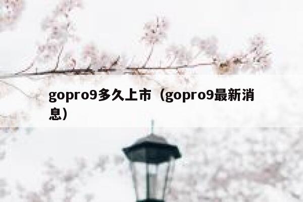 gopro9多久上市(gopro9最新消息) 第1张 gopro9多久上市(gopro9最新消息) 第1张