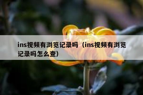 ins视频有浏览记录吗（ins视频有浏览记录吗怎么查） 第1张