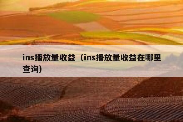 ins播放量收益（ins播放量收益在哪里查询） 第1张
