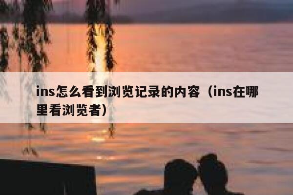 ins怎么看到浏览记录的内容（ins在哪里看浏览者） 第1张