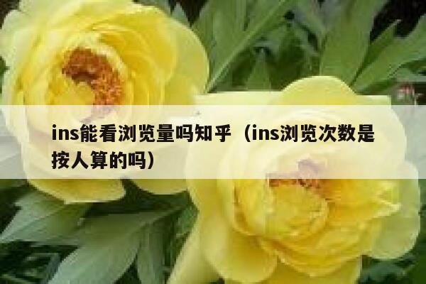ins能看浏览量吗知乎(ins浏览次数是按人算的吗) 第1张 ins能看浏览量吗知乎(ins浏览次数是按人算的吗) 第1张
