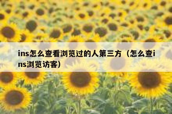 ins怎么查看浏览过的人第三方(怎么查ins浏览访客) 第1张 ins怎么查看浏览过的人第三方(怎么查ins浏览访客) 第1张
