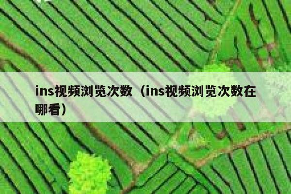 ins视频浏览次数(ins视频浏览次数在哪看) 第1张 ins视频浏览次数(ins视频浏览次数在哪看) 第1张