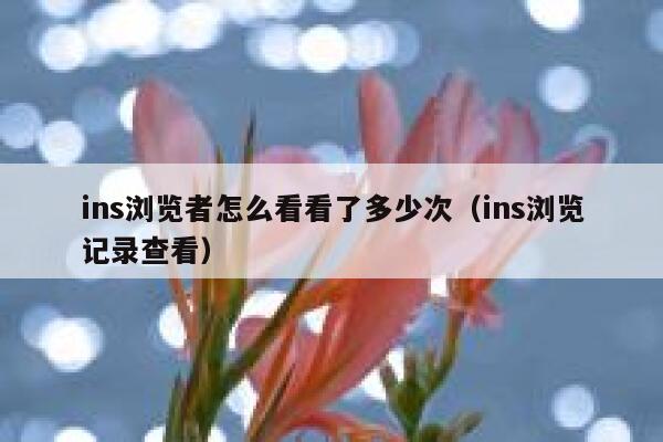 ins浏览者怎么看看了多少次(ins浏览记录查看) 第1张 ins浏览者怎么看看了多少次(ins浏览记录查看) 第1张