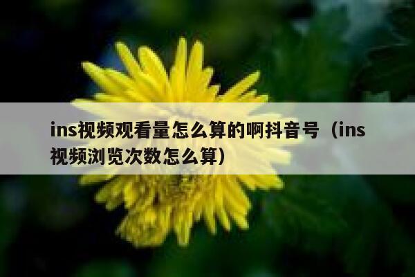 ins视频观看量怎么算的啊抖音号（ins视频浏览次数怎么算） 第1张