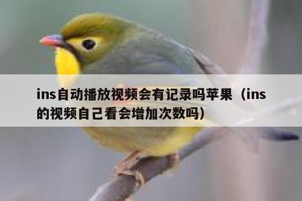 ins自动播放视频会有记录吗苹果（ins的视频自己看会增加次数吗） 第1张