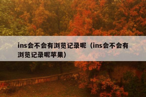 ins会不会有浏览记录呢（ins会不会有浏览记录呢苹果） 第1张